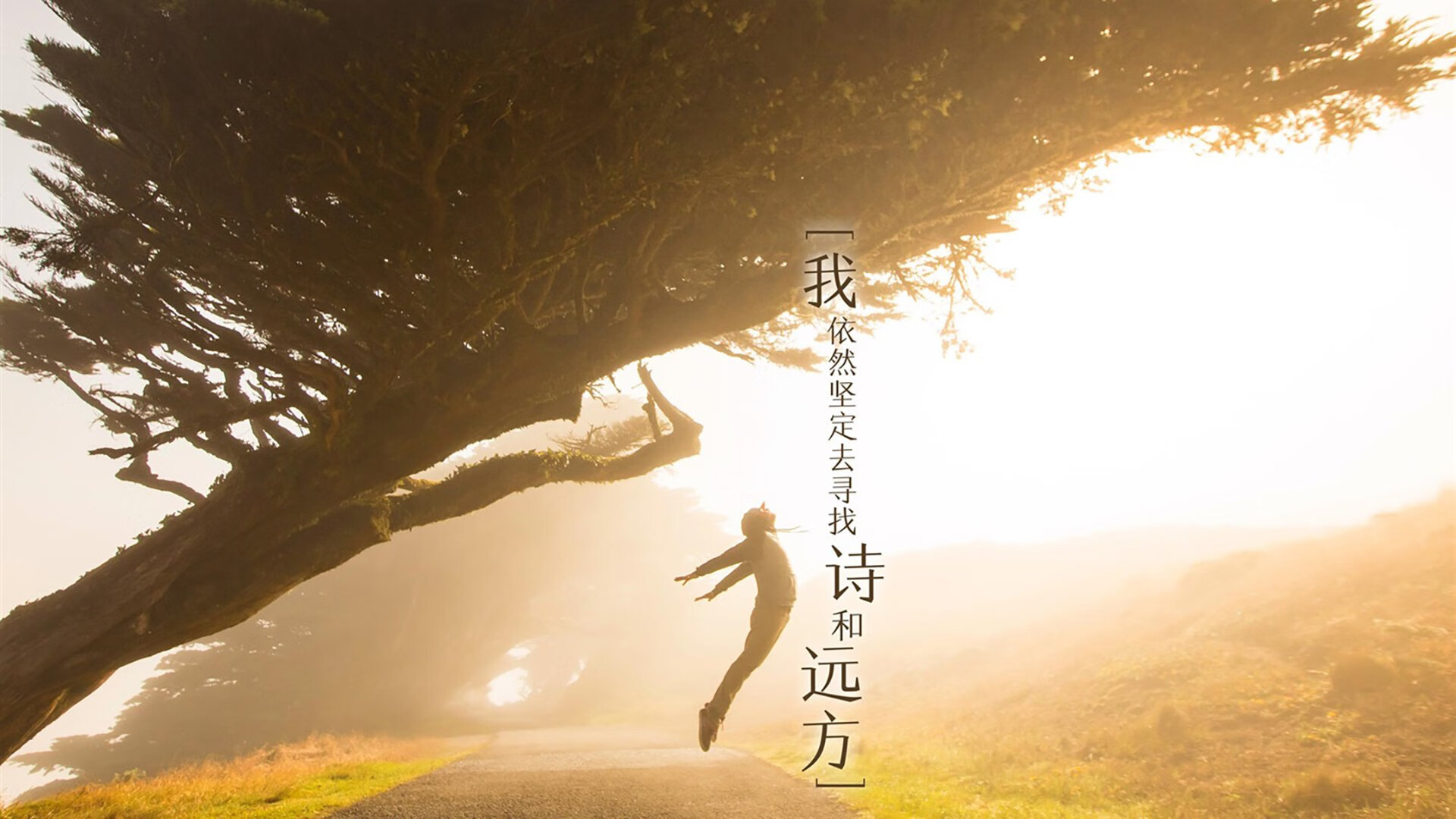 洪都拉斯震撼晋级巴黎！年度焦点之战全解析，足球小国的奥运逆袭传奇