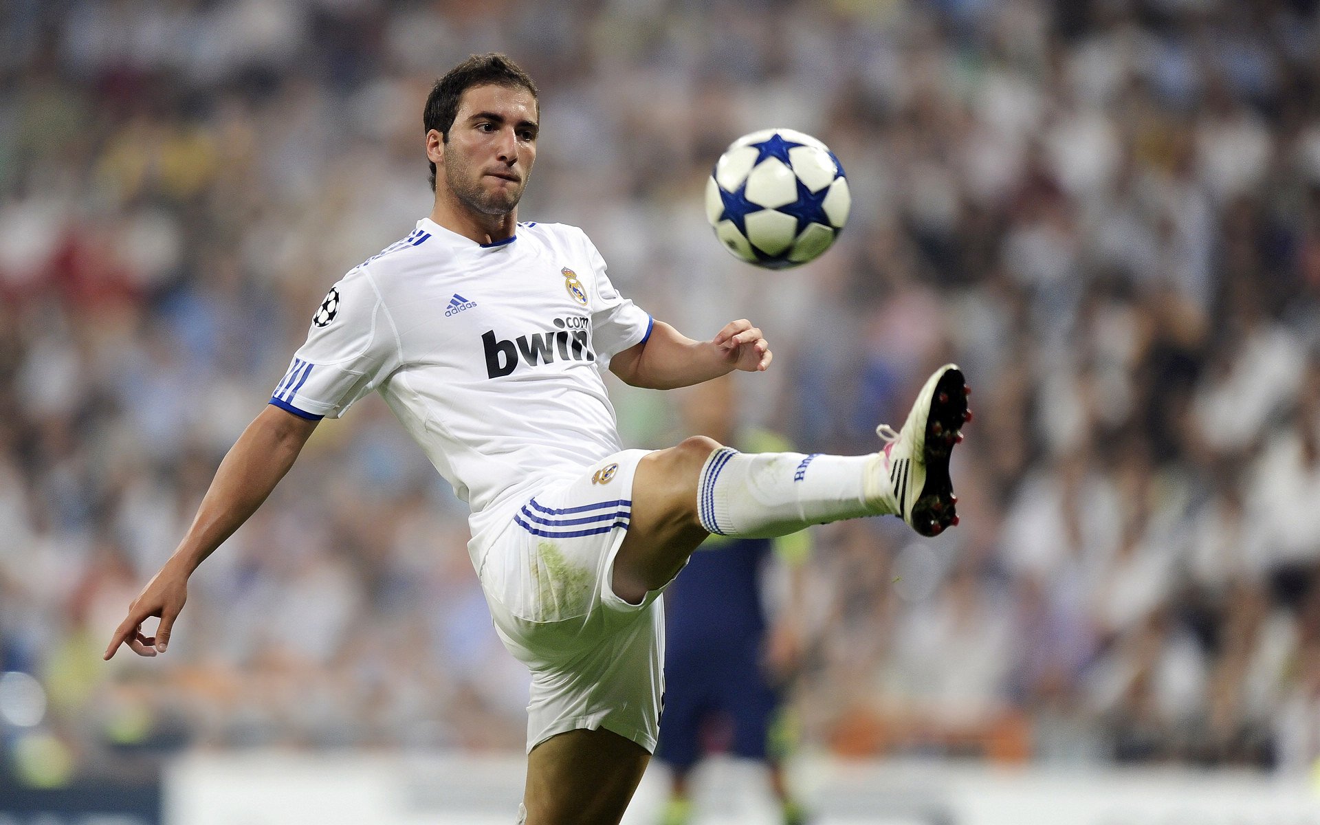 富安健洋爆发助马赛最后一刻绝杀新西兰，日本国脚闪耀欧洲赛场